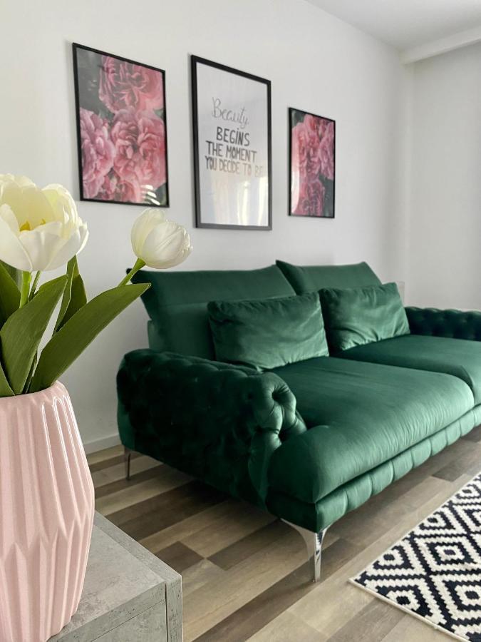 Velvet Studio Târgu-Mureş Extérieur photo